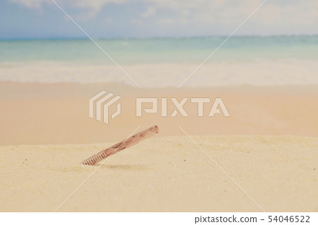 Coast plastic straw 54046522