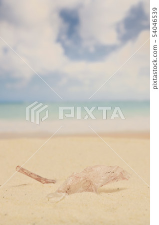 沙灘塑料袋和塑料吸管 54046539