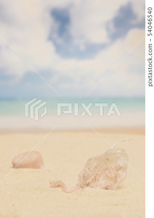 海岸塑料袋和塑料瓶蓋 海岸塑料袋和塑料瓶蓋 54046540