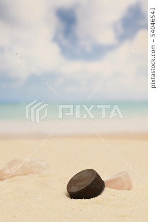 海岸塑料袋和塑料瓶蓋 54046541