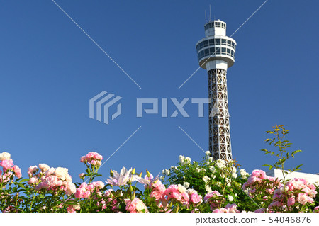 Yokohama · Yamashita Park 54046876