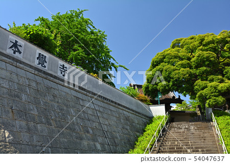 Yokohama · Honka-ji 54047637