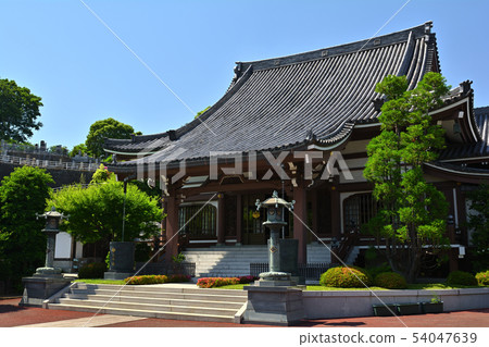 Yokohama · Honka-ji Yokohama · Honka-ji 54047639