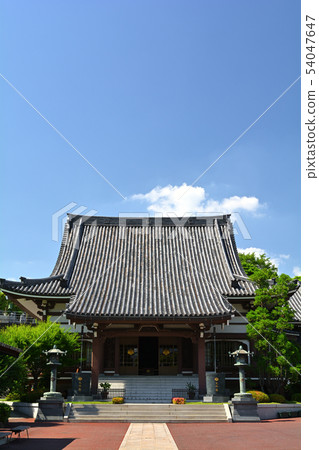 橫濱·Honka-ji 54047647