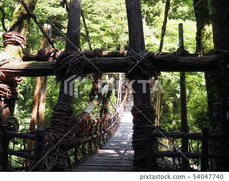 Kazura Bridge 54047740