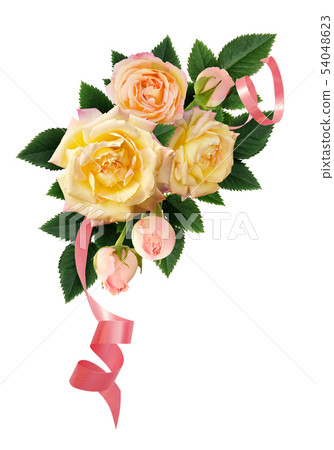 Yellow rose flowers and buds composition with pink 54048623