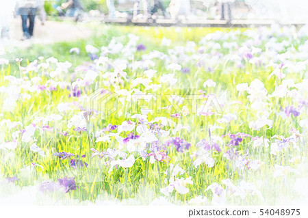 [Watercolor style] Flower buds (Hana Shobu) 54048975