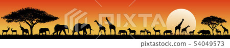 African savanna animals at sunset African savanna animals at sunset 54049573