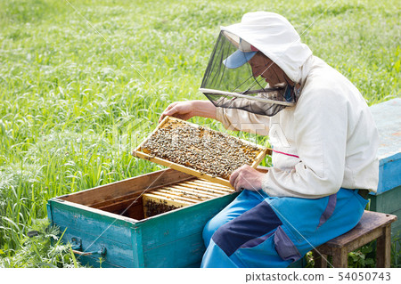 A beekeeper works to collect honey.  54050743