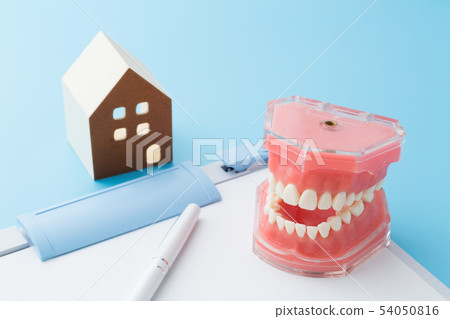 Dental image Dental image 54050816