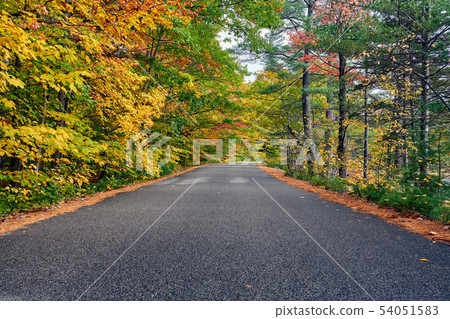 Autumn scene with road 54051583