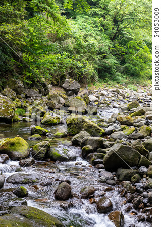 Iwatogawa Valley Tianangawara 54053009