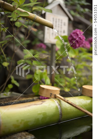 竹噴泉和繡球花 竹噴泉和繡球花 54053351