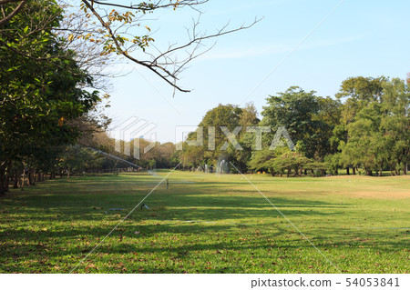 watering public park with sprinkler 54053841