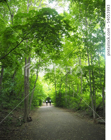 kay gardner beltline