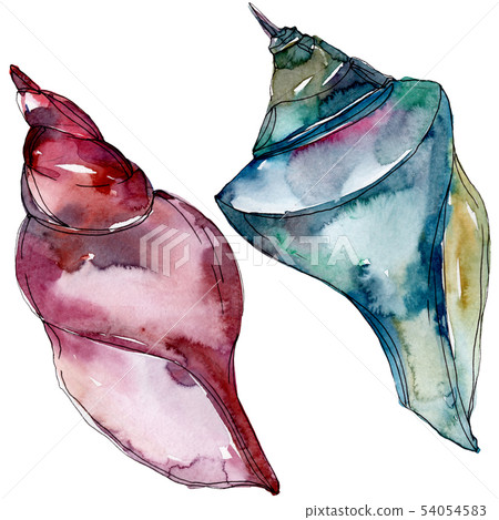 Summer beach seashell tropical elements.... - Stock Illustration ...