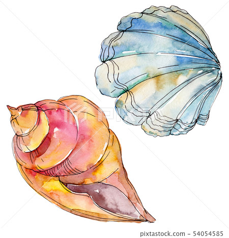 Summer beach seashell tropical elements.... - Stock Illustration ...