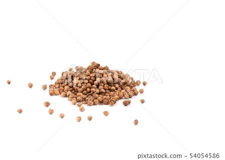 Coriander seeds are isolated on a white background. Coriander seeds are isolated on a white background. 54054586