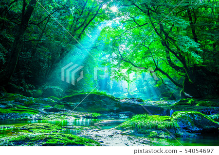 Light beam of Kikuchi Gorge 54054697
