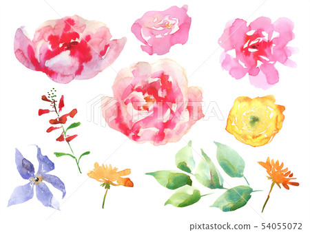 Collection Hand drawing watercolor pink and white flowers for Wedding bridal romanric rustic bouquet 54055072