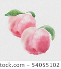 桃子水彩 54055102