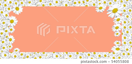 Flowers composition. Frame made of Daisys background. Flat lay, top view, square, copy space, layout 54055808