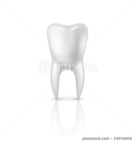 Vector 3d Realistic Render Human Tooth Closeup... - Stock Illustration ...
