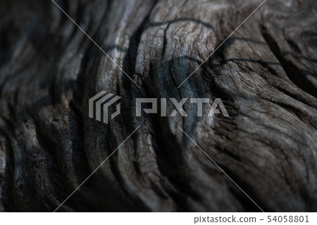 Flowing Lines In An Aged Driftwood Stump 54058801