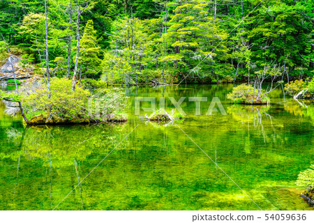 Kamikochi，Myojin Pond“Ninoike” 54059636