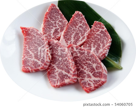 Domestic cow Calvi 54060705