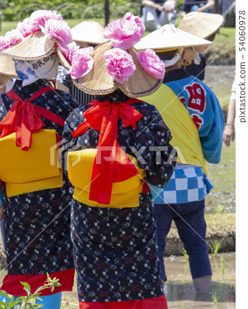 Midori Planting Festival 54060978