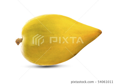 Egg fruit, Canistel, Yellow Sapote (Pouteria 54061011