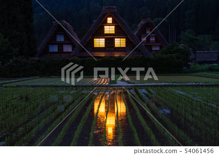 《岐阜縣》白川鄉合掌村/大米種植季節《日落》 54061456