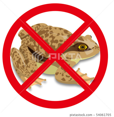 Illustration of a Shrimp 54061705