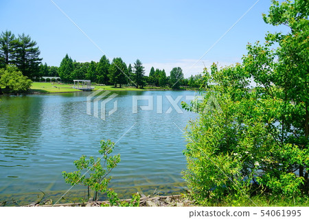 蜻蜓公園大阪府 蜻蜓公園大阪府 54061995