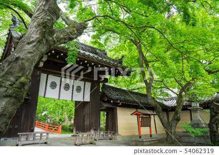 京都今宮神社東門新鮮綠色 京都今宮神社東門新鮮綠色 54062319