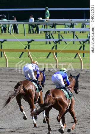 Horse race 54062535