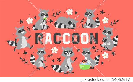 Raccoon in different positions doing various activities banner vector illustration. Cartoon female Raccoon in different positions doing various activities banner vector illustration. Cartoon female 54062637