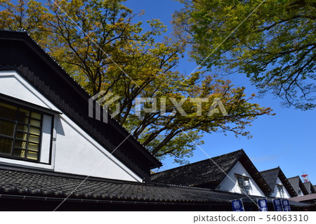 Yamai warehouse zelkova tree lined trees 54063310