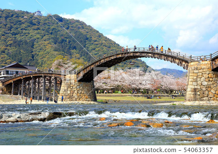 Kintai bridge in spring 54063357
