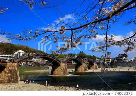 Kintai bridge in spring Kintai bridge in spring 54063375