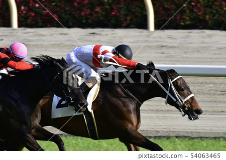 Racecourse  54063465