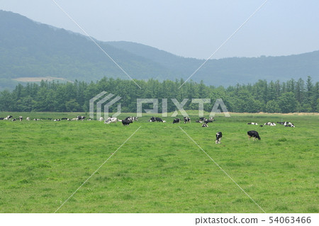 Ranch Ranch 54063466