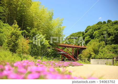 Great view of Daimon Dam Park [Misato-cho, Nara Prefecture, Mt. Shinki] 54063702
