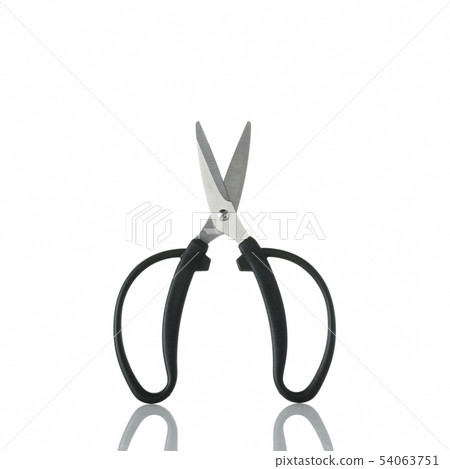 Pruning scissors on white background 54063751