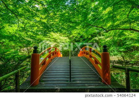 京都北野天滿宮Aoi橋新綠 京都北野天滿宮Aoi橋新綠 54064124