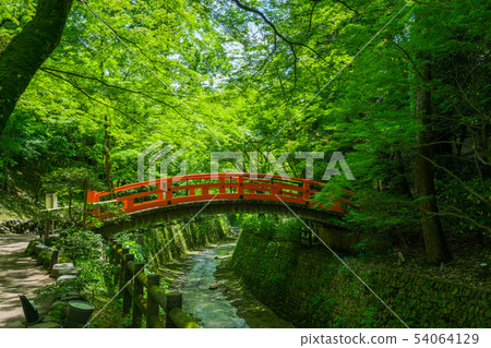 京都北野天滿宮Aoi橋新綠 京都北野天滿宮Aoi橋新綠 54064129