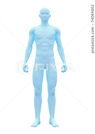 Male body, Whole body, Body 54064802