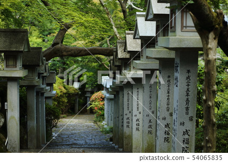 Mt. Nogiyama Asago Aboshi-ji Temple [Hiraguncho, Nara Prefecture, Mt. Nogi] 54065835