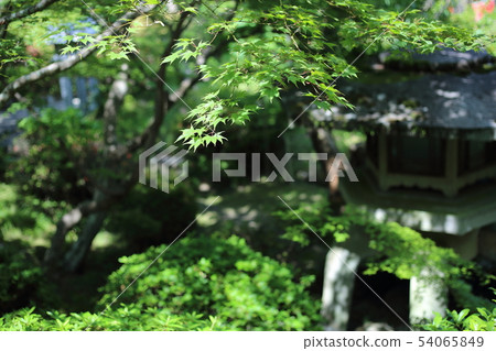 Mt. Nogiyama Asago Aboshi-ji Temple [Hiraguncho, Nara Prefecture, Mt. Nogi] 54065849